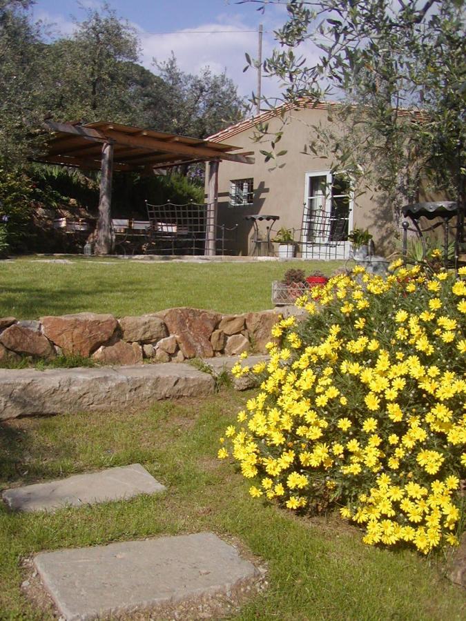 Settignano Tuscany Homes 外观 照片