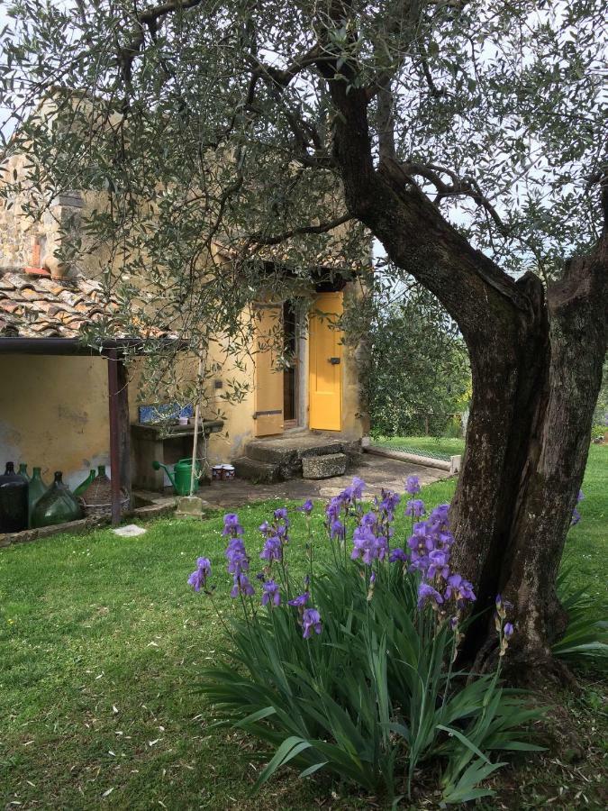 Settignano Tuscany Homes 外观 照片